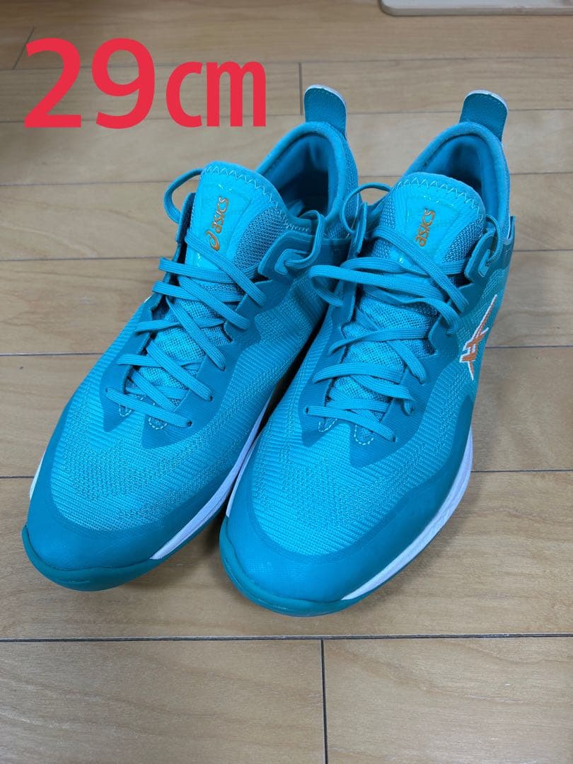 限定カラー ASICS GLIDE NOVA ff3 29㎝