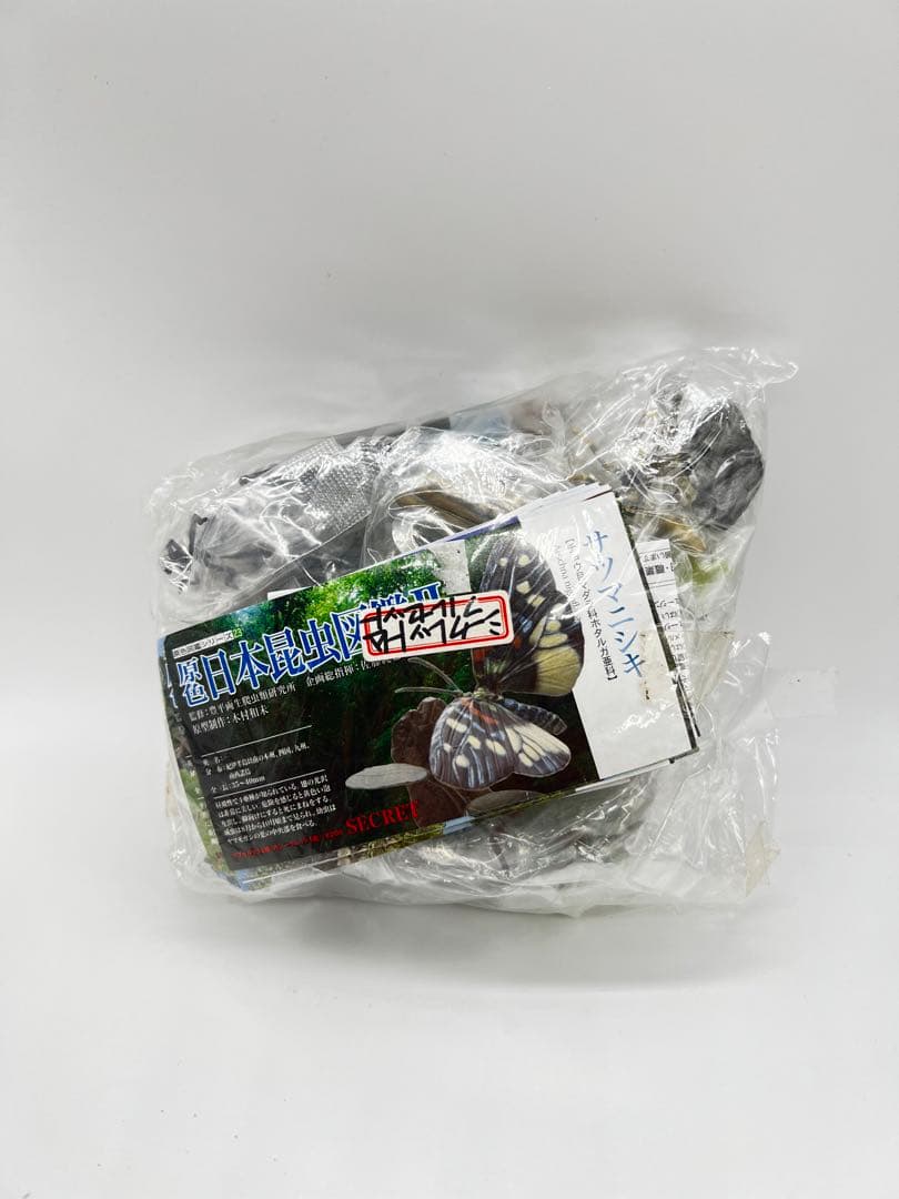 原色日本昆虫図鑑Ⅱ