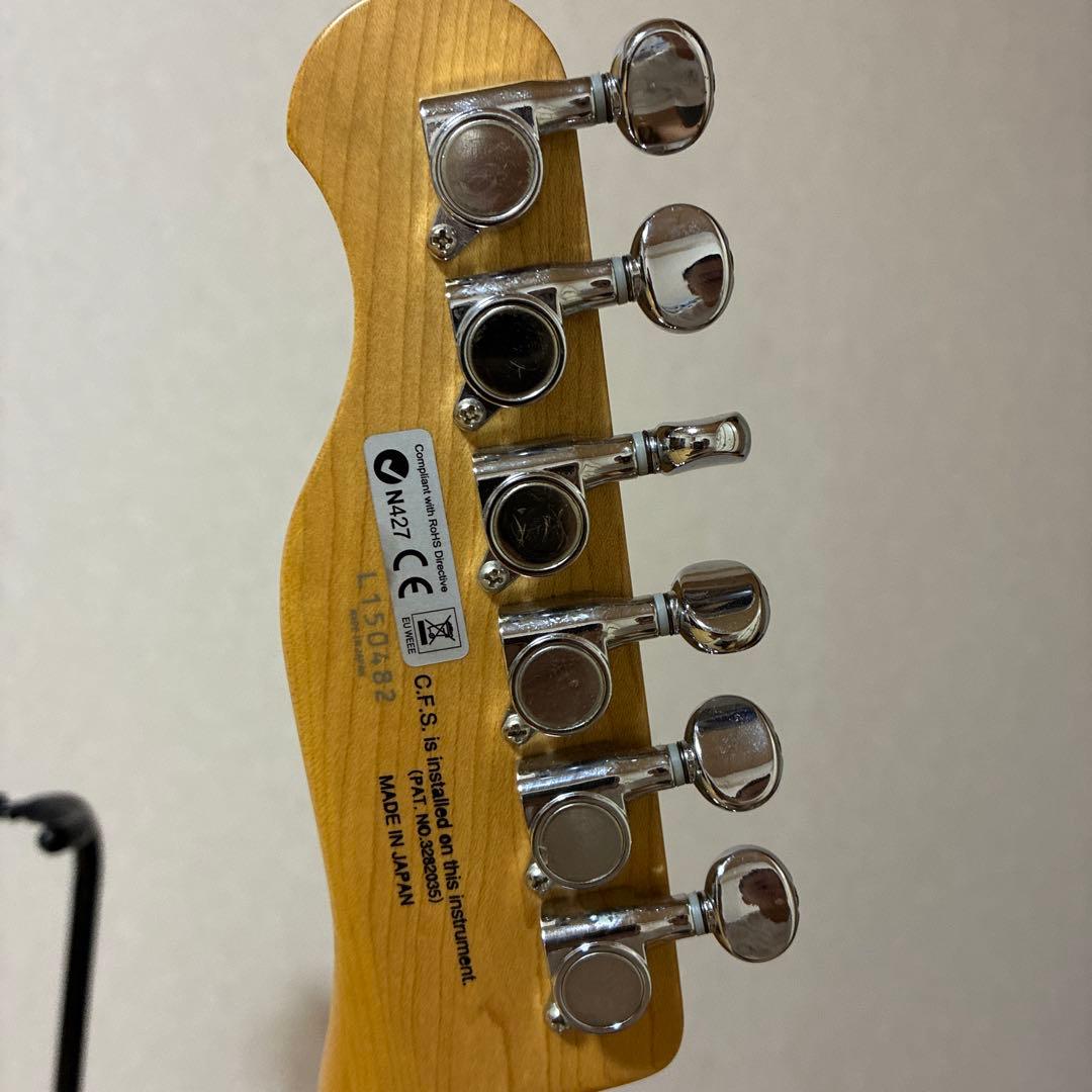 フジゲン FGN テレキャスター (美品)