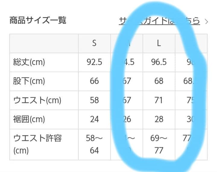 LAVA SUKALA ピンタックスリットジョガーパンツ