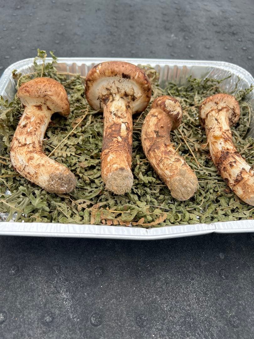 岩手県産 松茸 極上