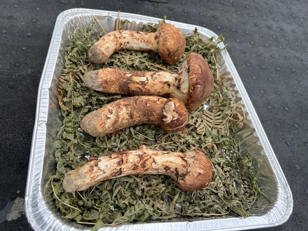 岩手県産 松茸 極上