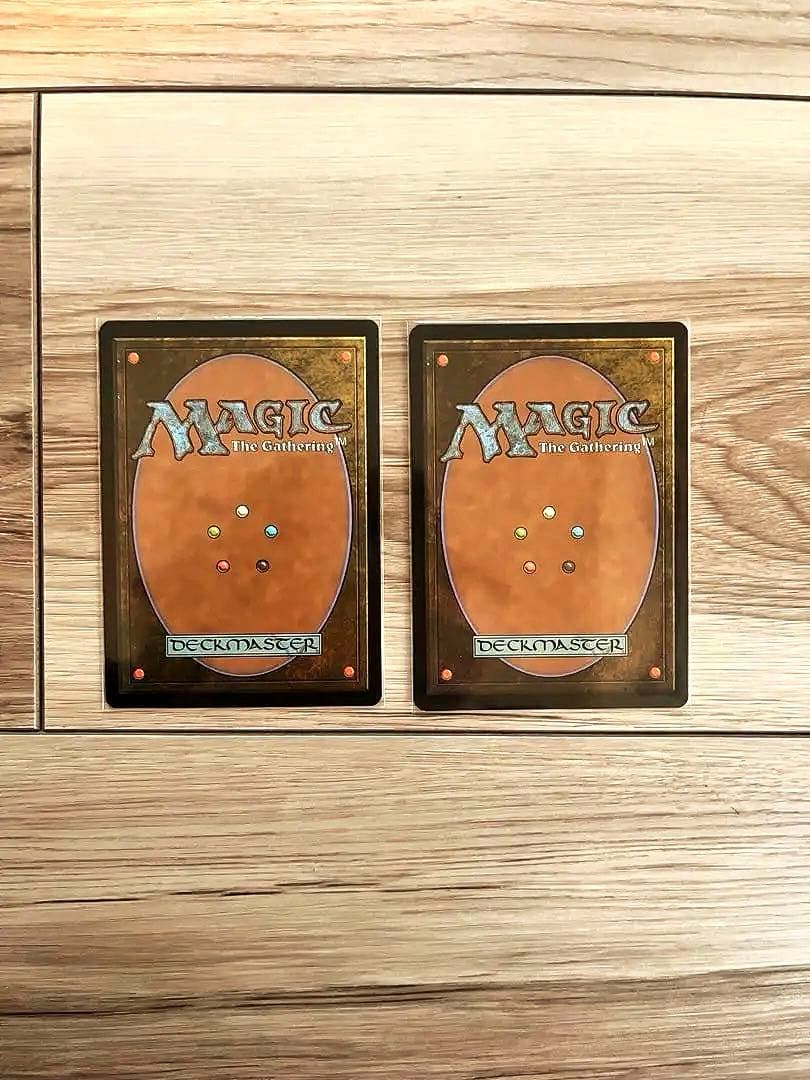 【日本語Foil】書庫の罠 マジックザギャザリング 2枚セット
