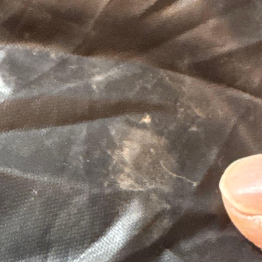 OneTigris SMOKEY HUT コヨーテブラウン インナーテント付き