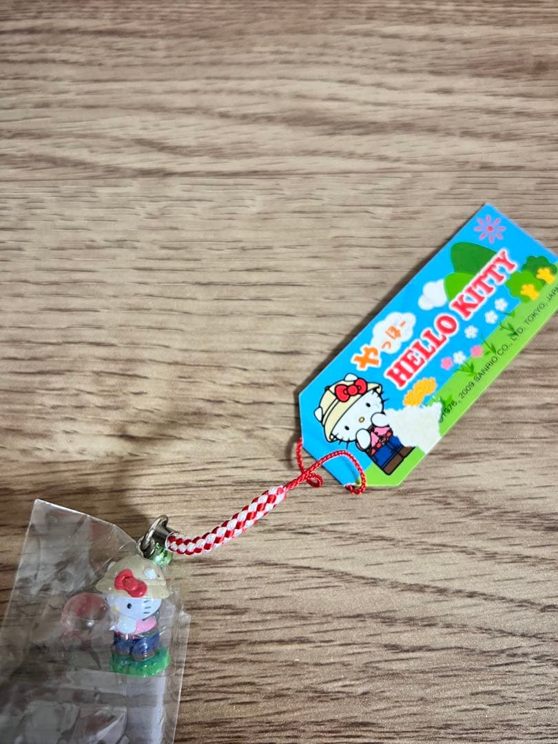 ご当地キティ　やっほー　ハローキティー