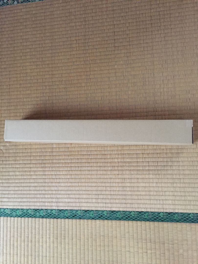 佐山すずか 等身大ポスター 新品未開封 プラチナフラッシュ スケスケ下着(？）