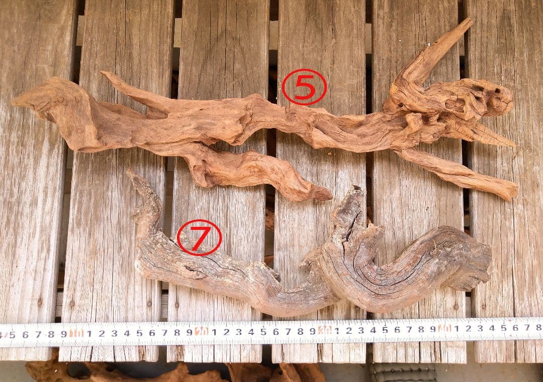 アクアリウム用品　レイアウト 良型 流木 Ｌサイズ　７本セット