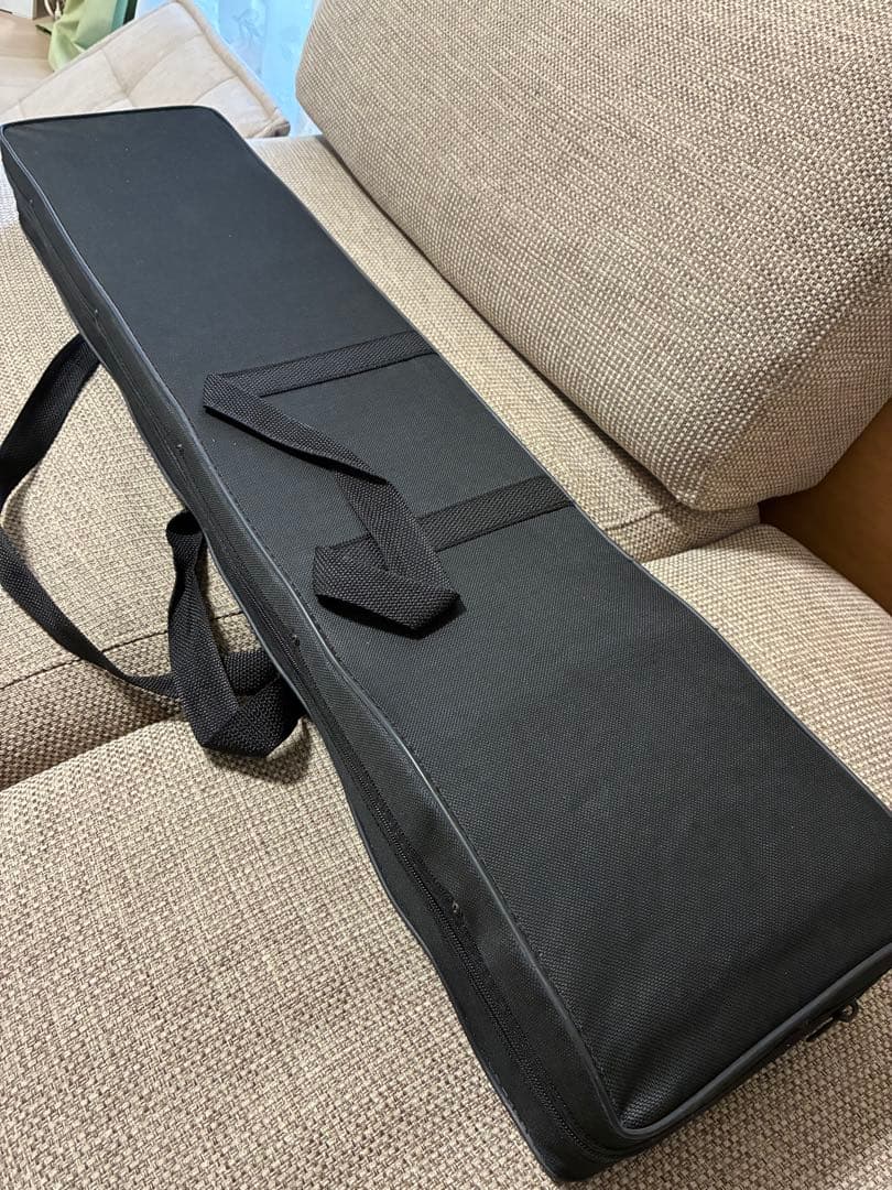 二胡 中国楽器　消音器とケース付き