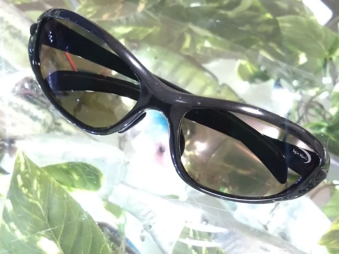 廃盤 ※ サイトマスター 【 スティングレイブラック】ディープブラウン