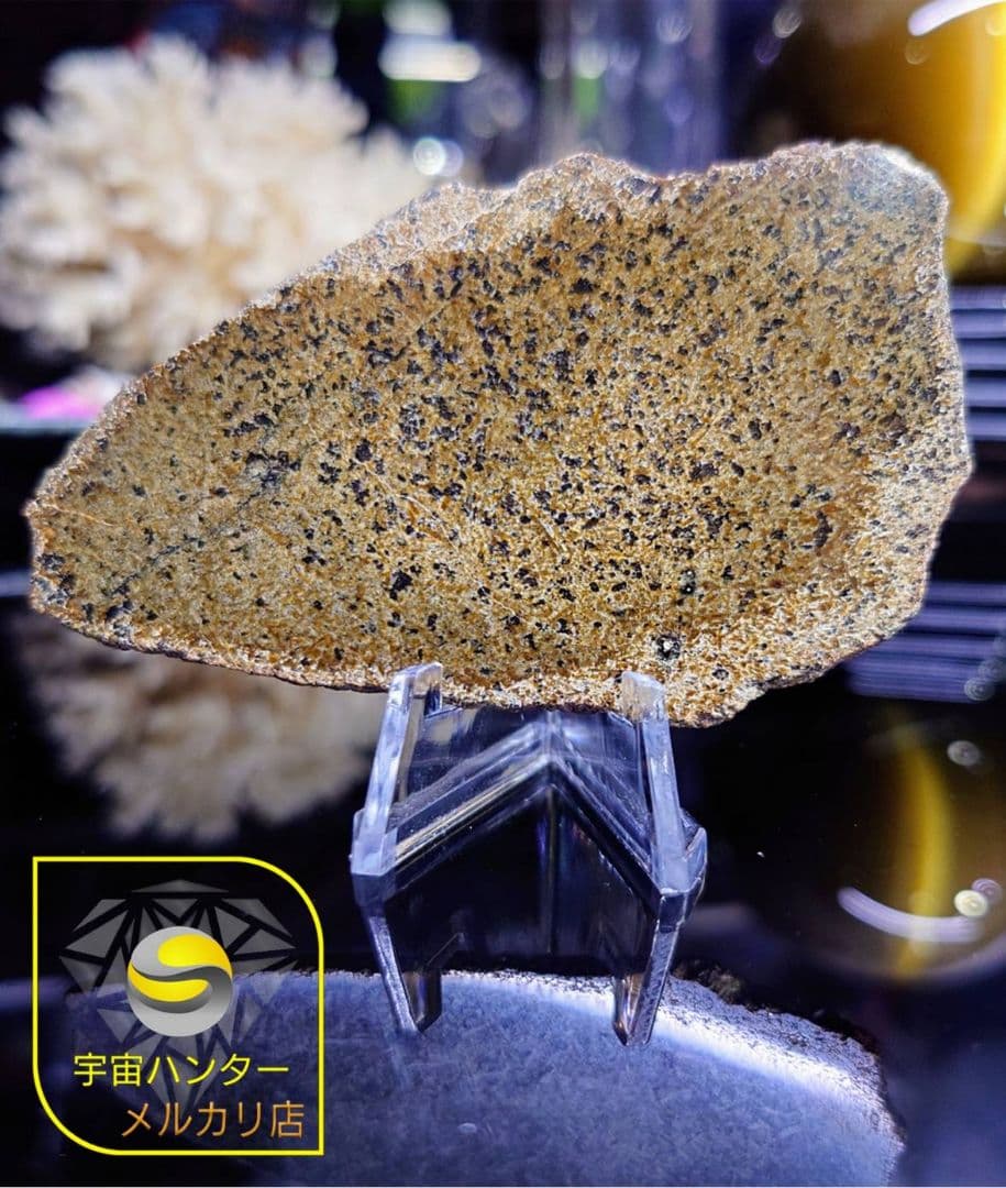 火星隕石　Mars Shergottite NWA 14714 ✨