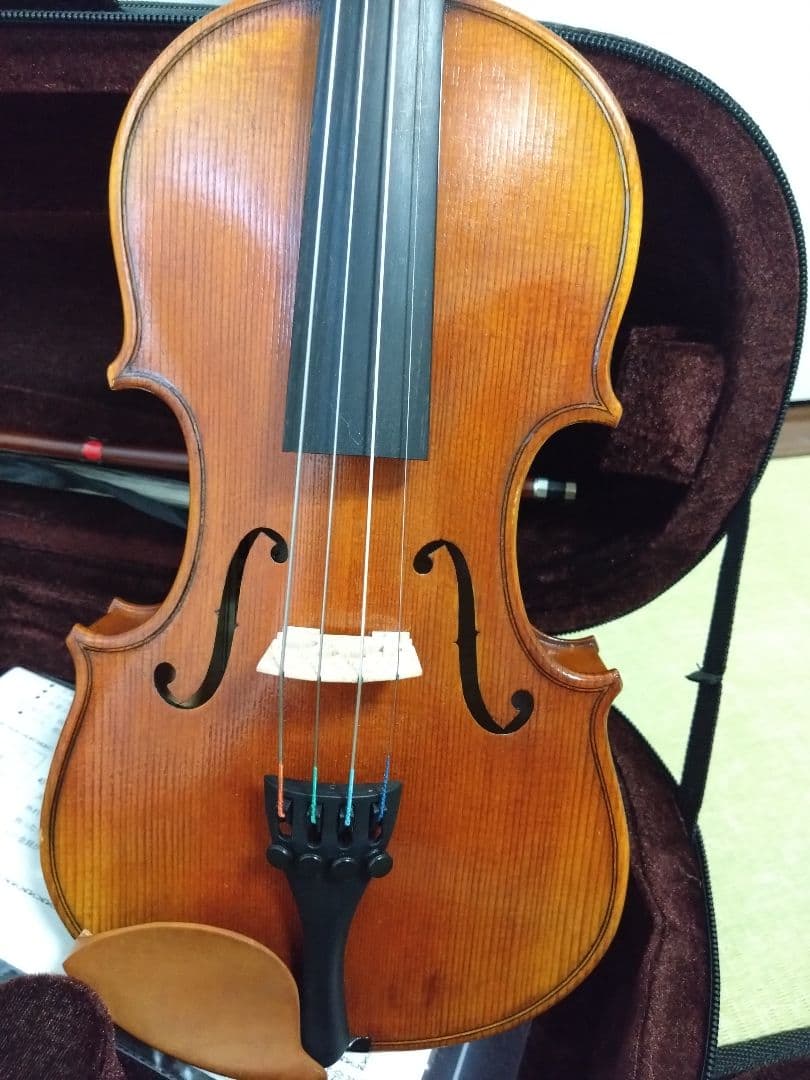 再値下★子ども用バイオリン1/4　ニコロ・サンティ NSN50/SAY予備弦付き