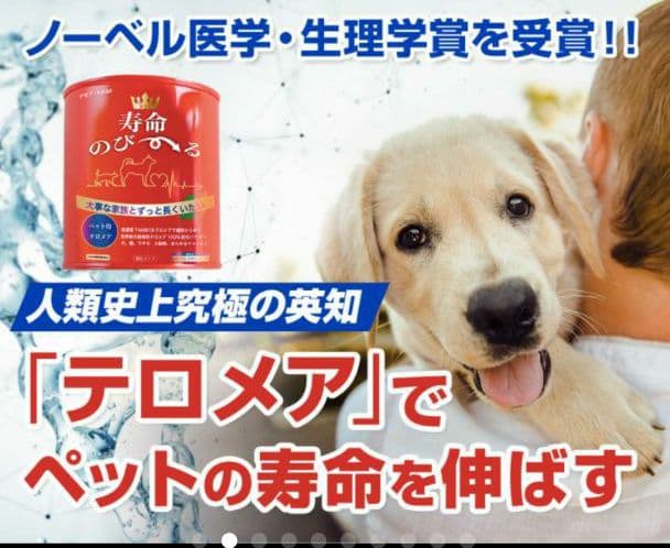 世界初！日本先行販売　ペット用テロメアのサプリ　普段のご飯に混ぜるだけ　3缶
