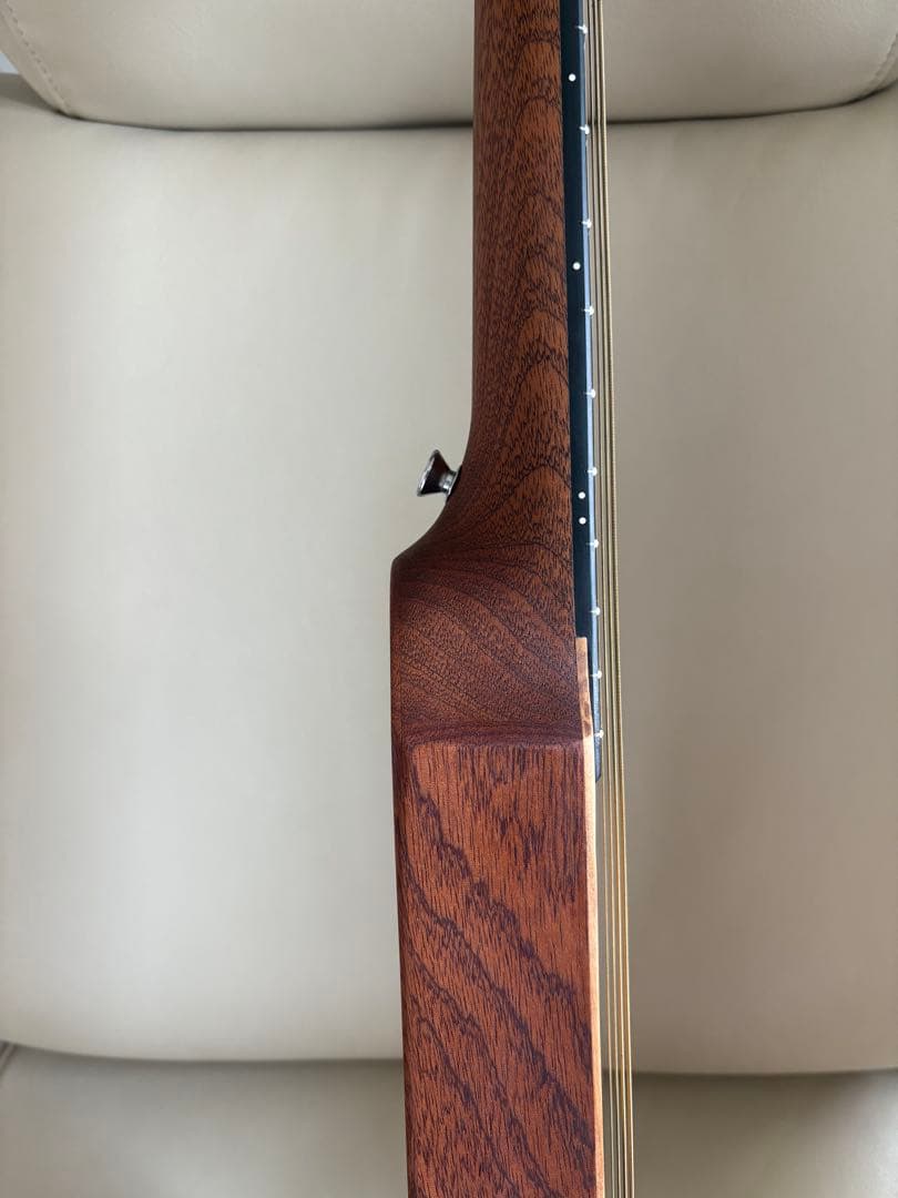 Martin Backpacker ピックアップ付　マーティン