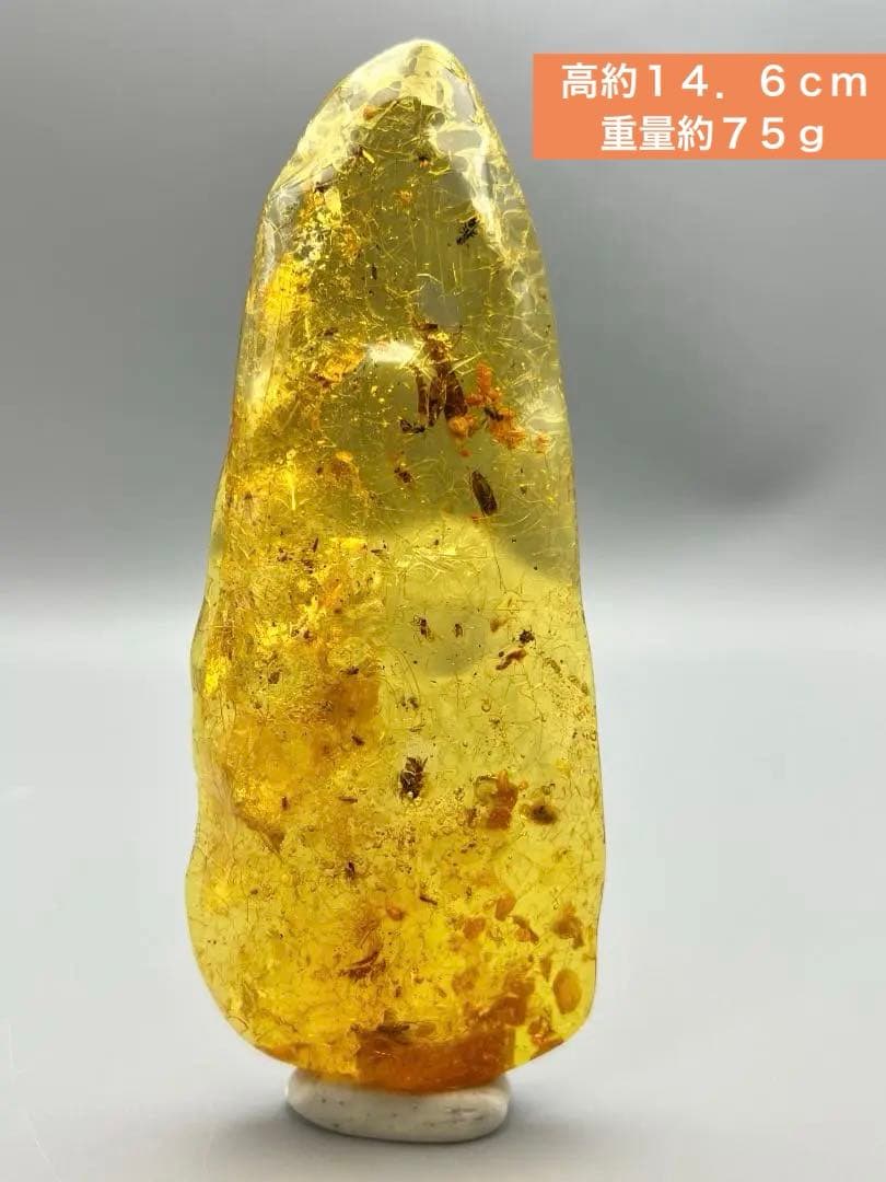 虫入り琥珀　多種多様な虫を内包した　バルティック　アンバー　バルト海沿岸地域産