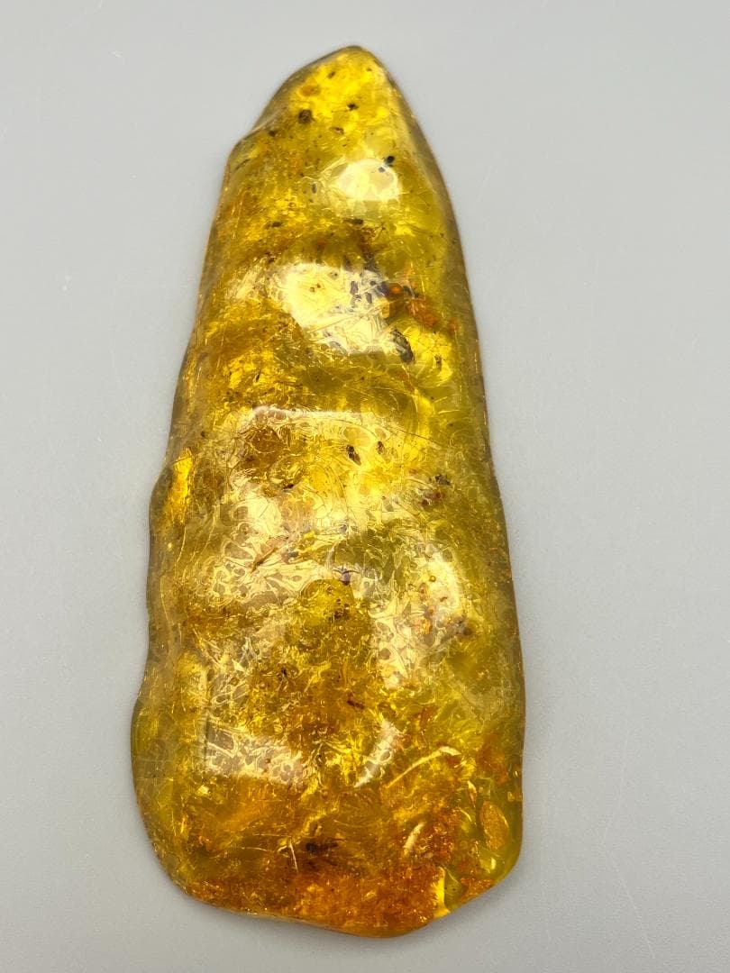 虫入り琥珀　多種多様な虫を内包した　バルティック　アンバー　バルト海沿岸地域産