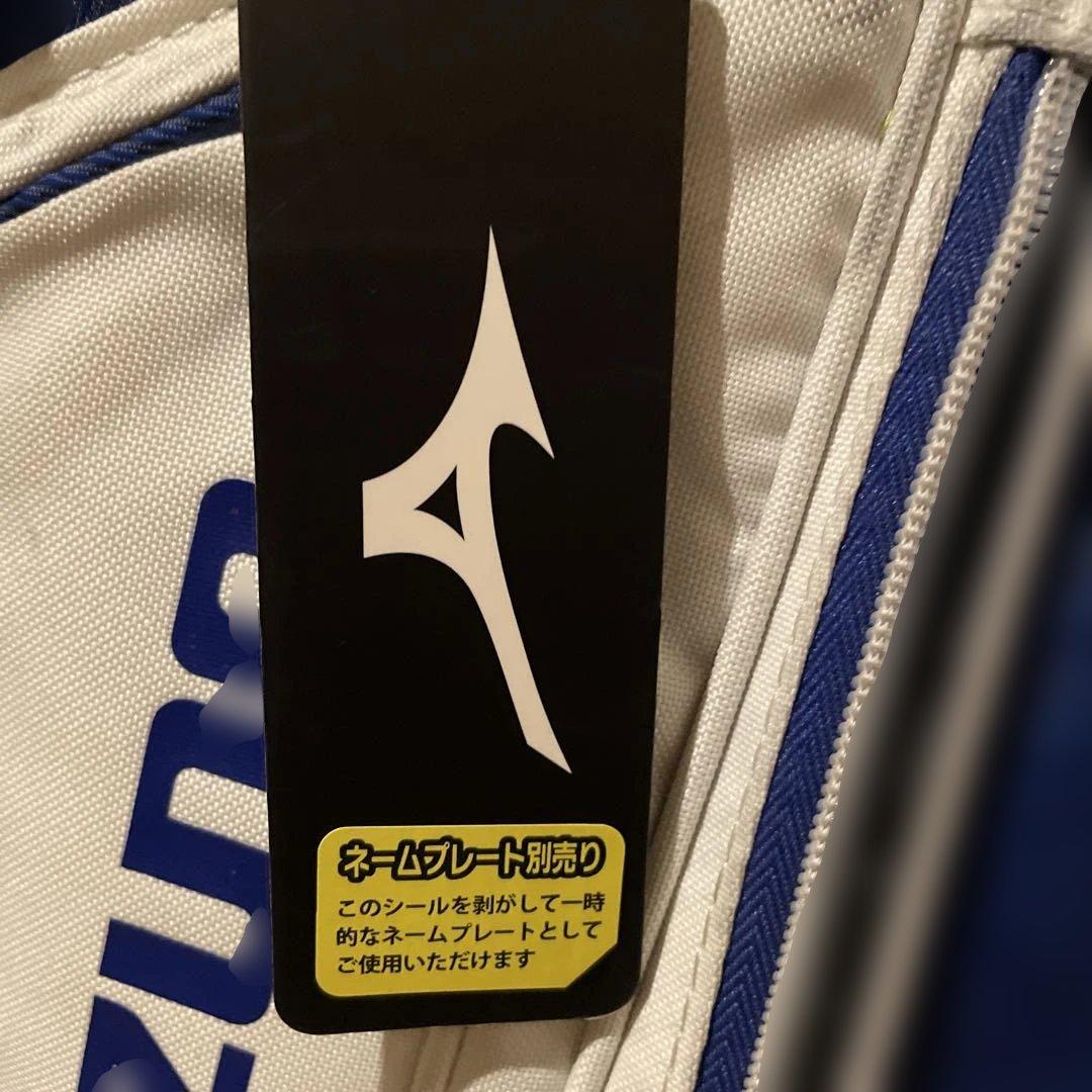 【希少カラー・スタンド式】Mizuno ゴルフ　キャディバッグ