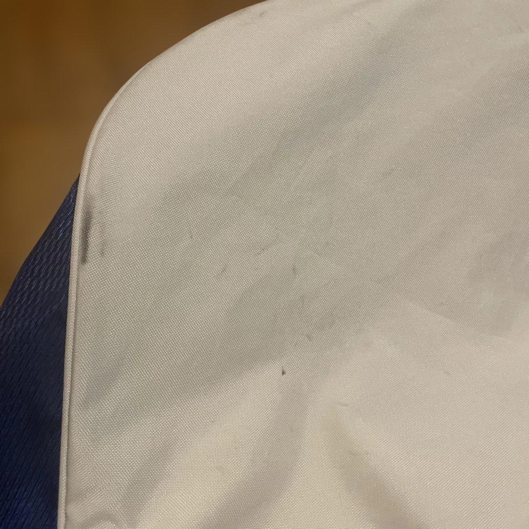 【希少カラー・スタンド式】Mizuno ゴルフ　キャディバッグ