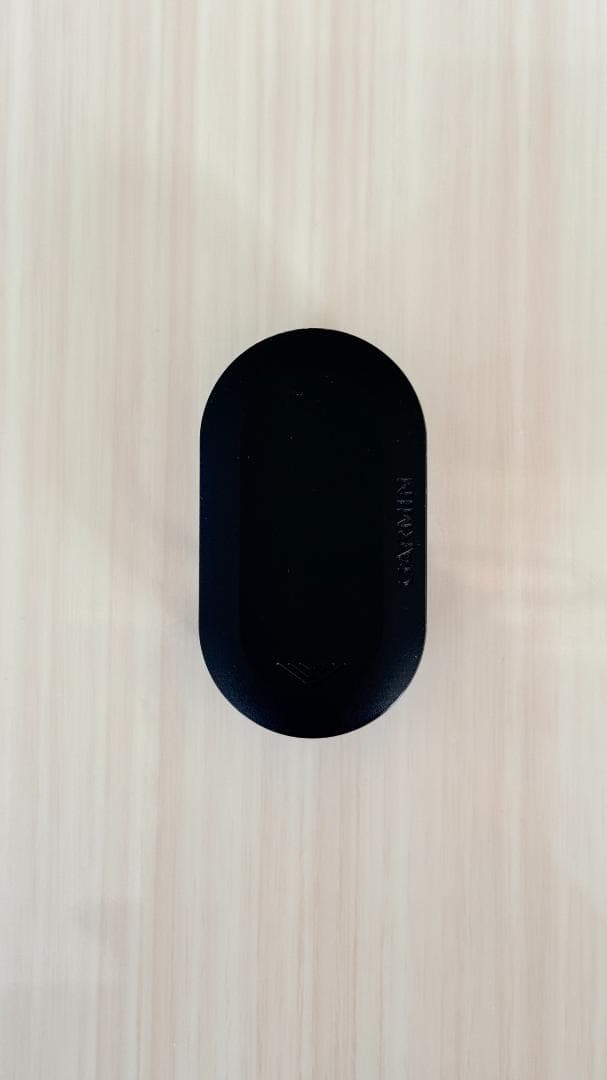 ガーミン Varia リアビューレーダー RVR315