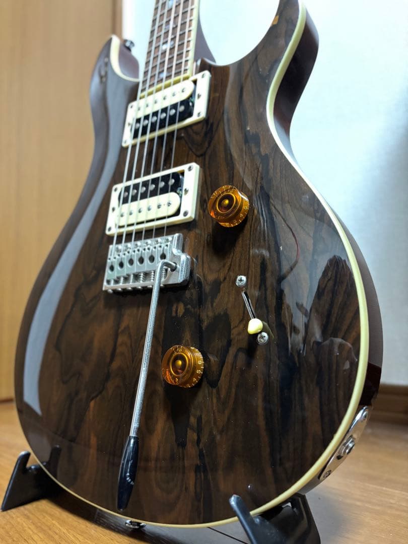 PRS SE Custom24 Ziricote Top 限定モデル