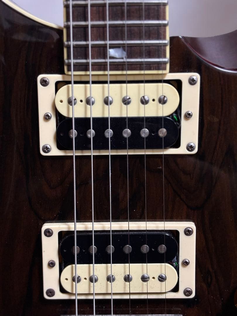PRS SE Custom24 Ziricote Top 限定モデル