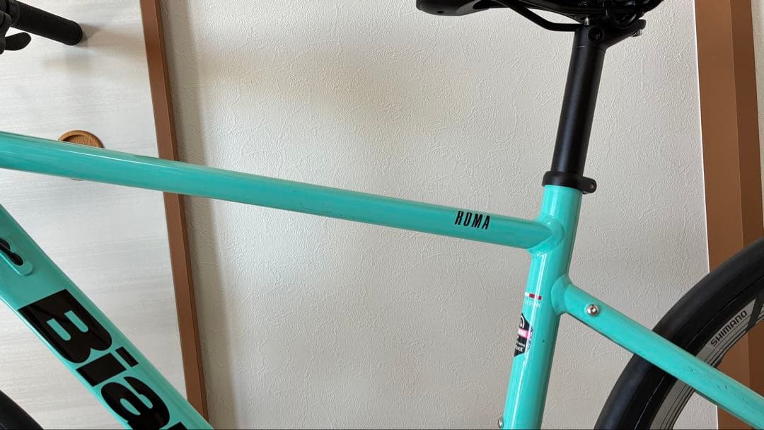 Bianchi ビアンキ ROMA3 46cm