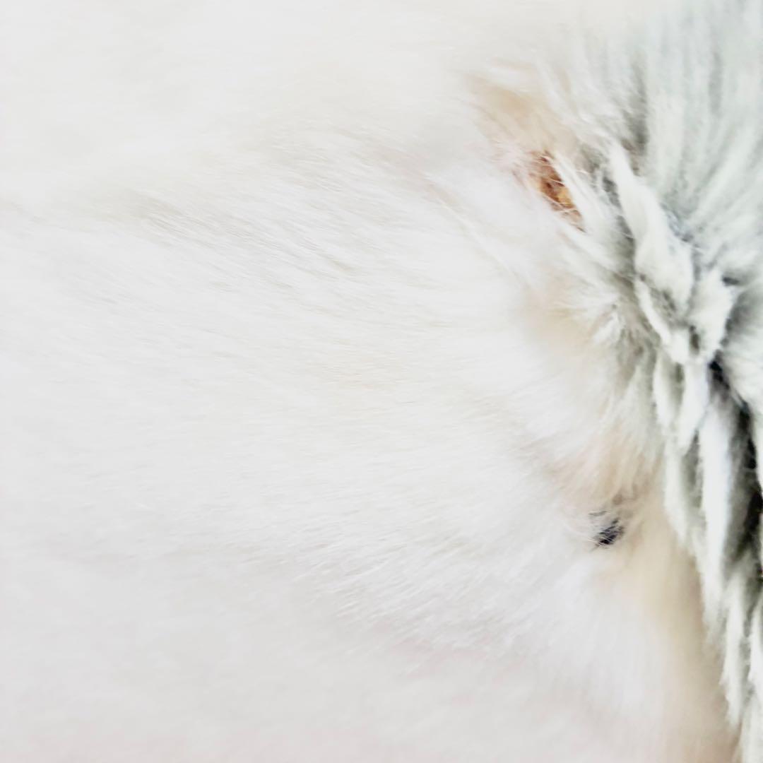 ♦️期間限定出品　ラスト値下げ　オリエンタルトーイ　うめ吉　特大