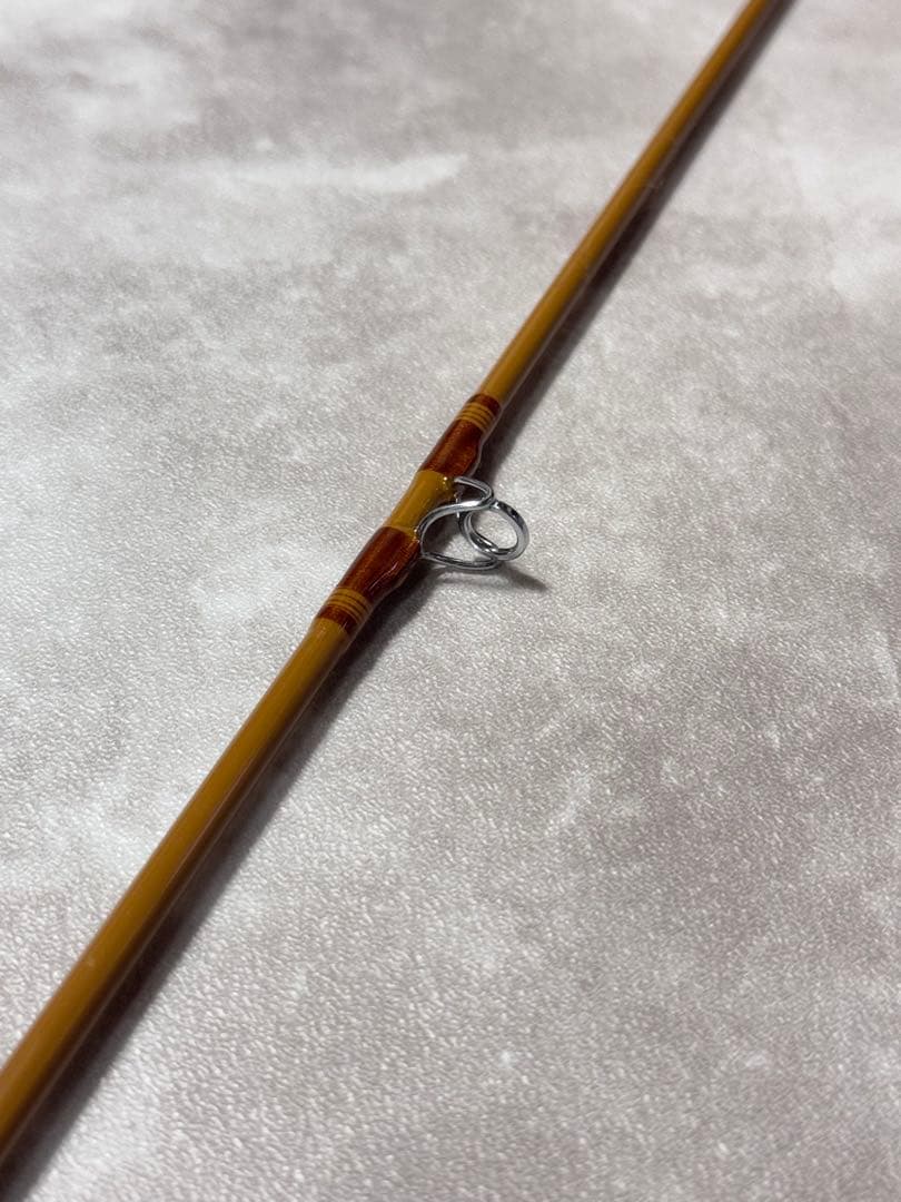 ６　則弘祐　スポーツザウルス　フィリプソン　バスティマー　BC60L