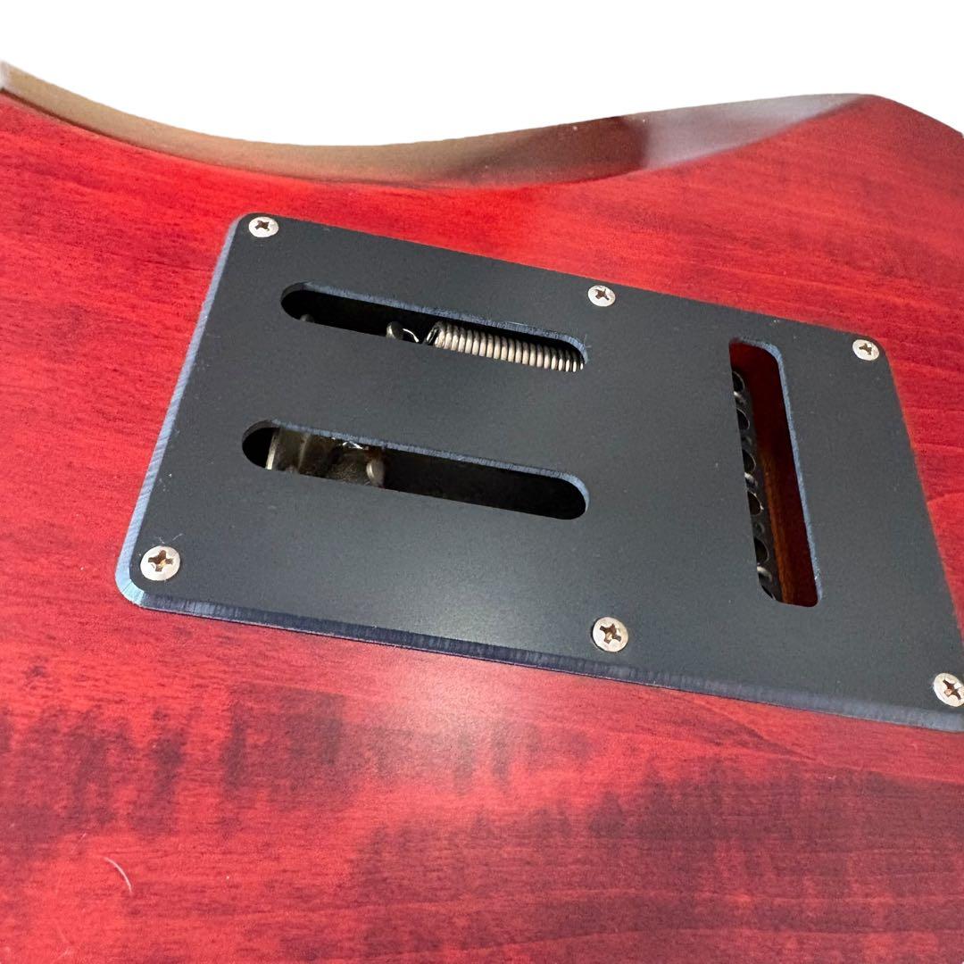 Ibanez SLM10 1P-01 AZシリーズ スコットモデル エレキギター