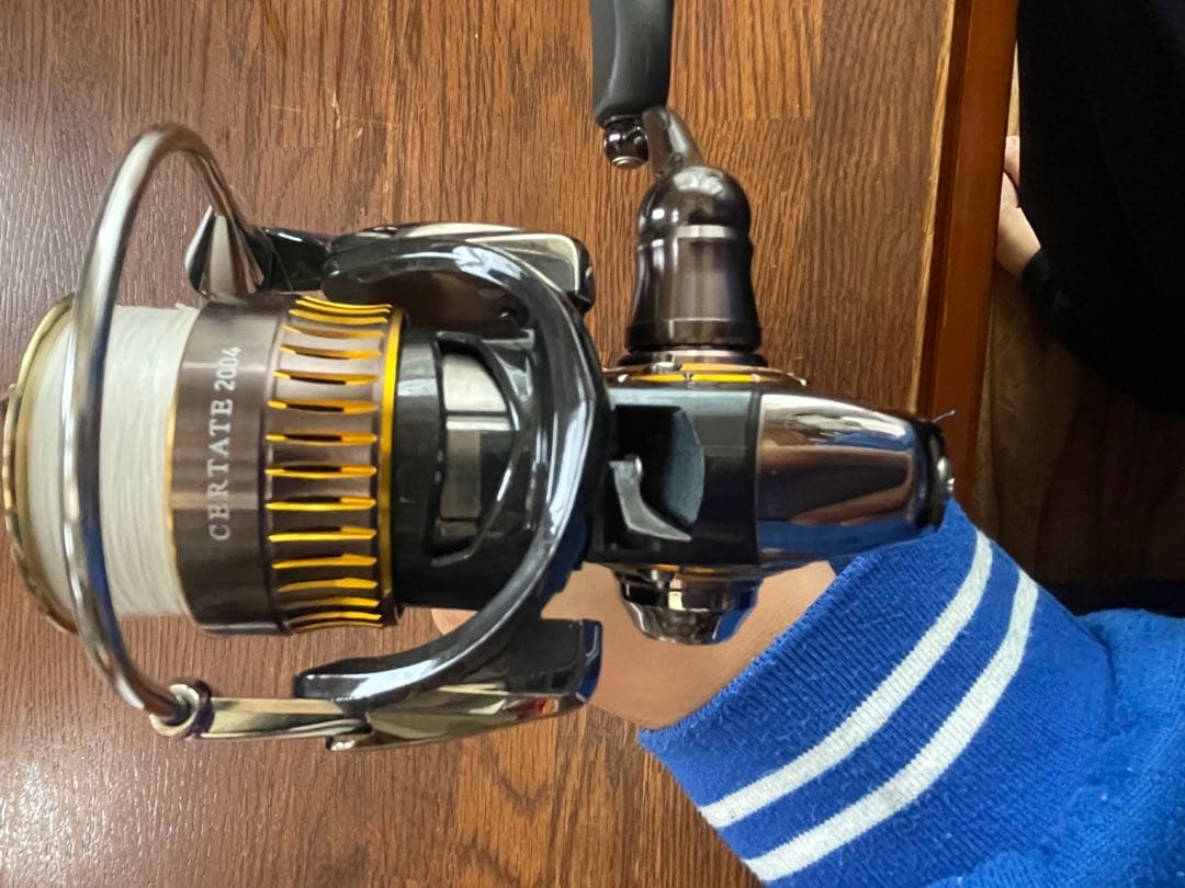 美品　16 セルテート2004