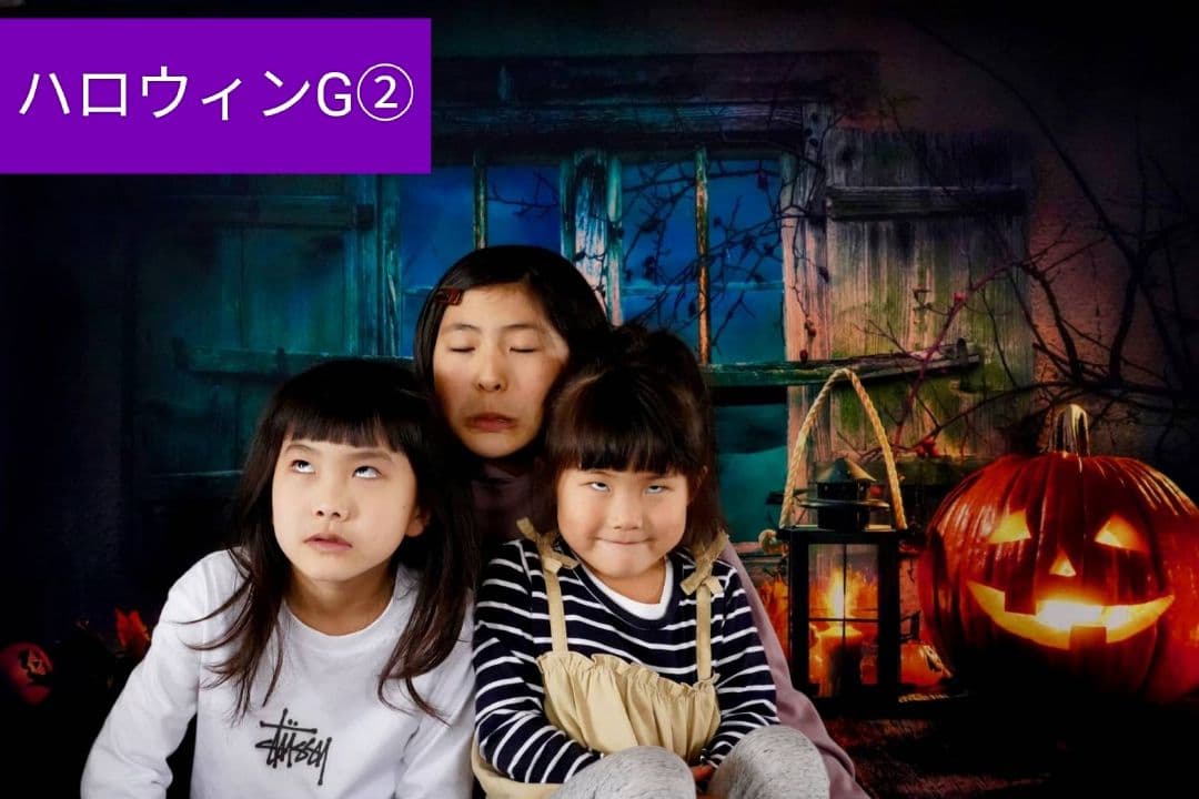 背景布【秋XA】サンプル80×120cm　ペット撮影用ブース　運動会　お月見