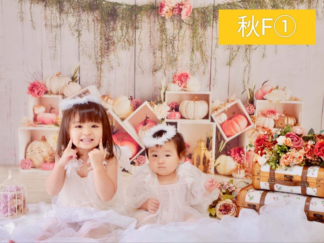 背景布【秋XA】サンプル80×120cm　ペット撮影用ブース　運動会　お月見