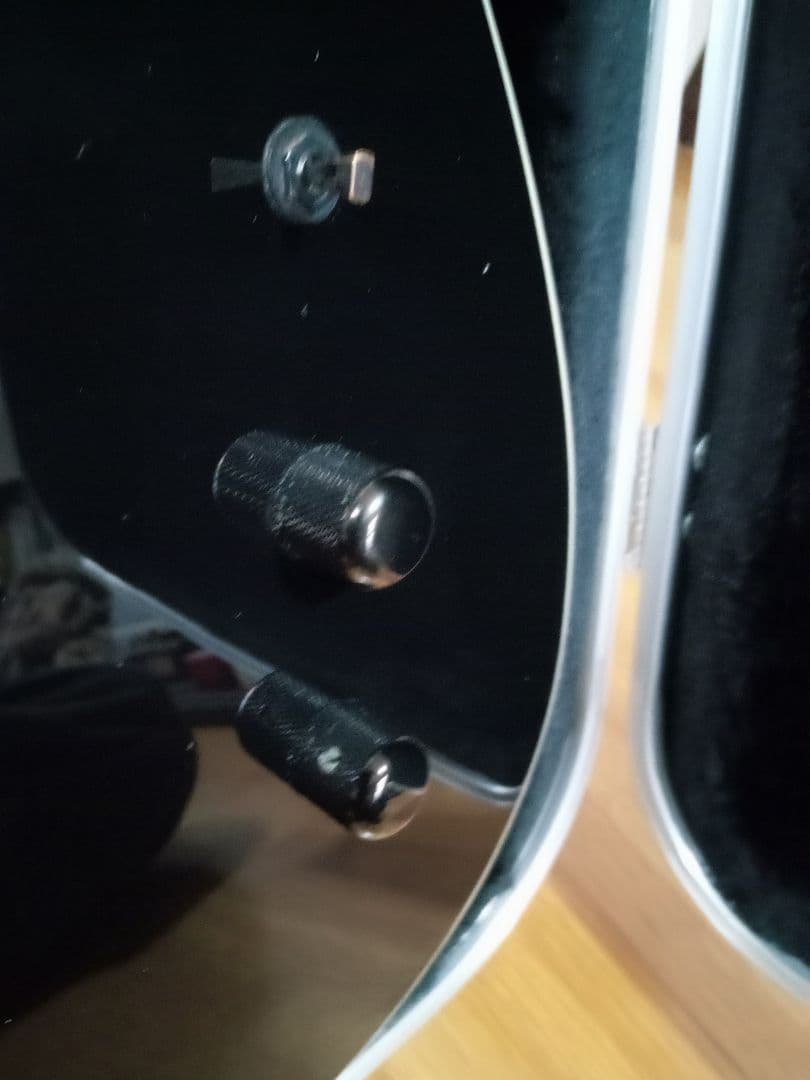 FERNANDES TEJ DELUXE 2S　純正ハードケース付き