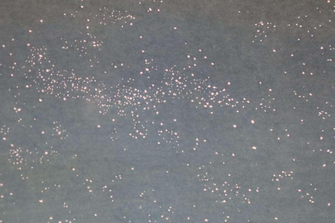 真作保証 平山郁夫 「ブルーモスク」 木版画 アダチ版画 文化勲章