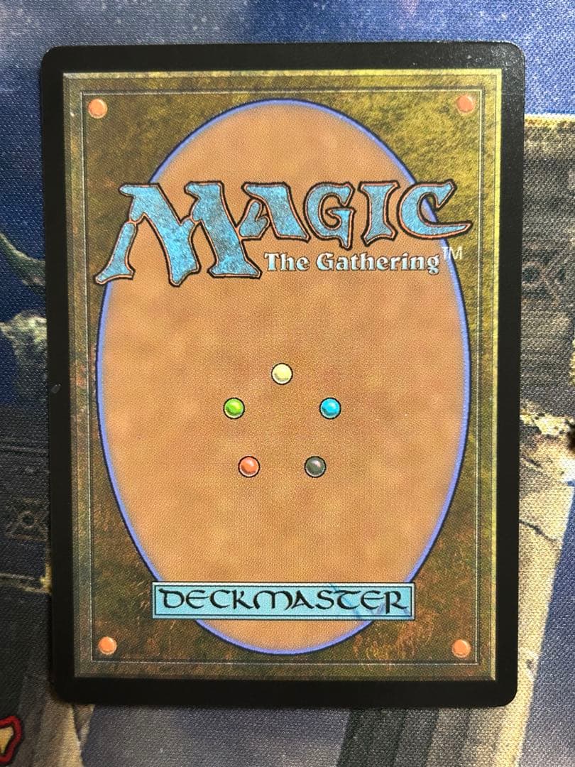 MTG 行き届いた書庫　日本語版　ボーダーレスfoil 4枚