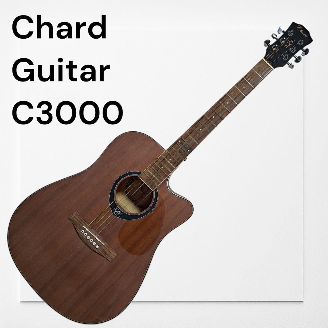 Chard Guitar　C3000　シリアルナンバー入り