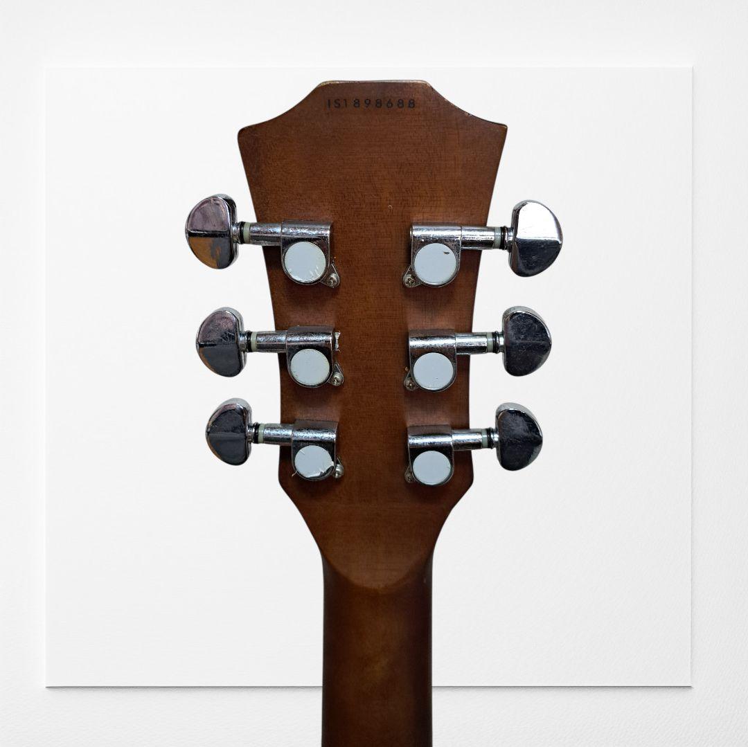 Chard Guitar　C3000　シリアルナンバー入り