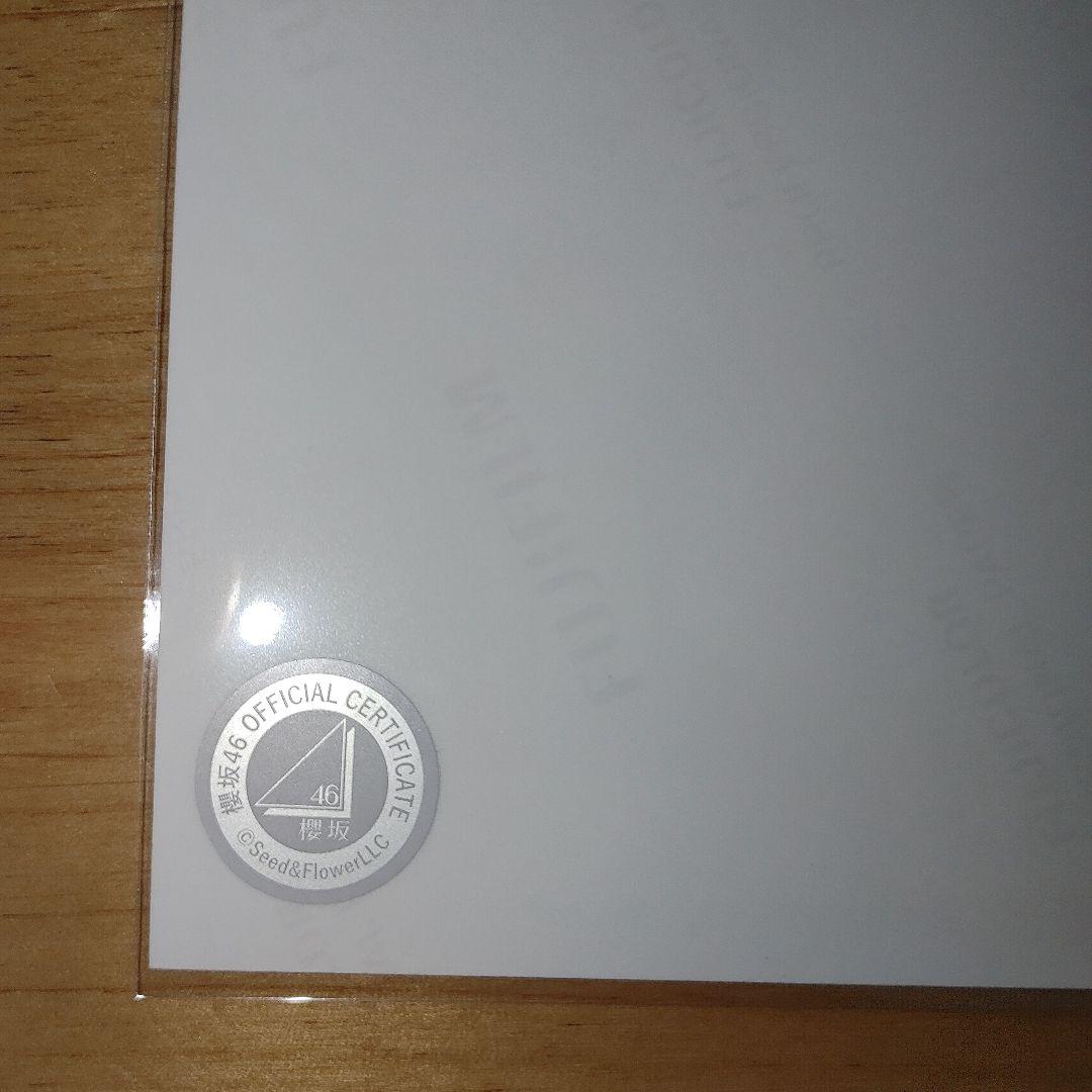 松田里奈 サンタ衣装 スワリ 直筆サイン入り生写真