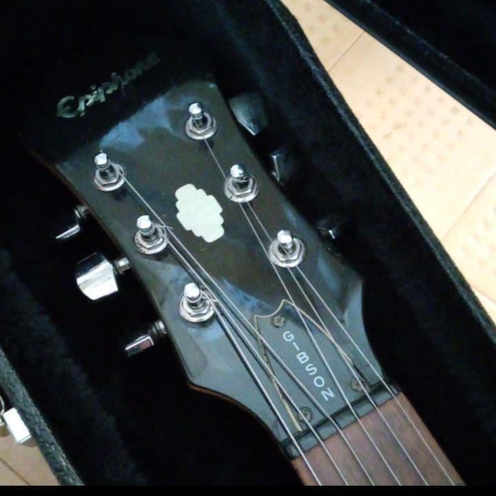 ギブソン エピフォン dot guaranteed