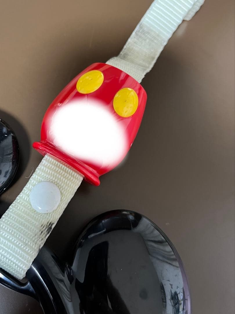 ディズニーリゾートライン　吊り革　TOKYO DISENY RESORT