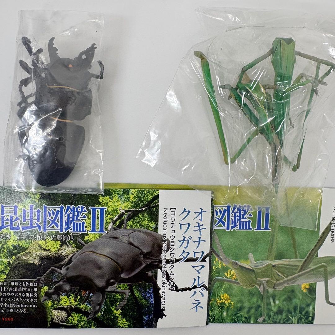 原色日本昆虫図鑑Ⅱ シークレット入りフルコン【未開封品】