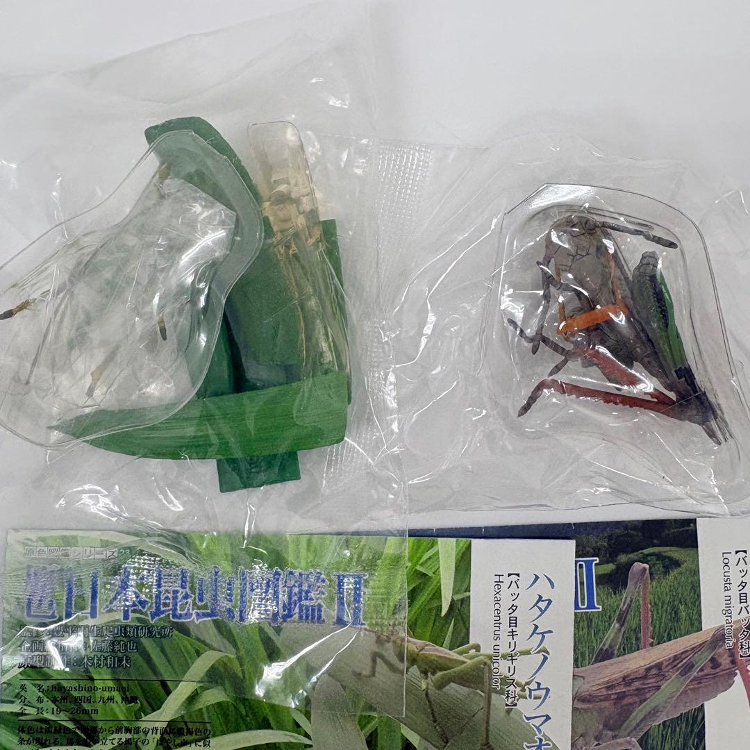 原色日本昆虫図鑑Ⅱ シークレット入りフルコン【未開封品】