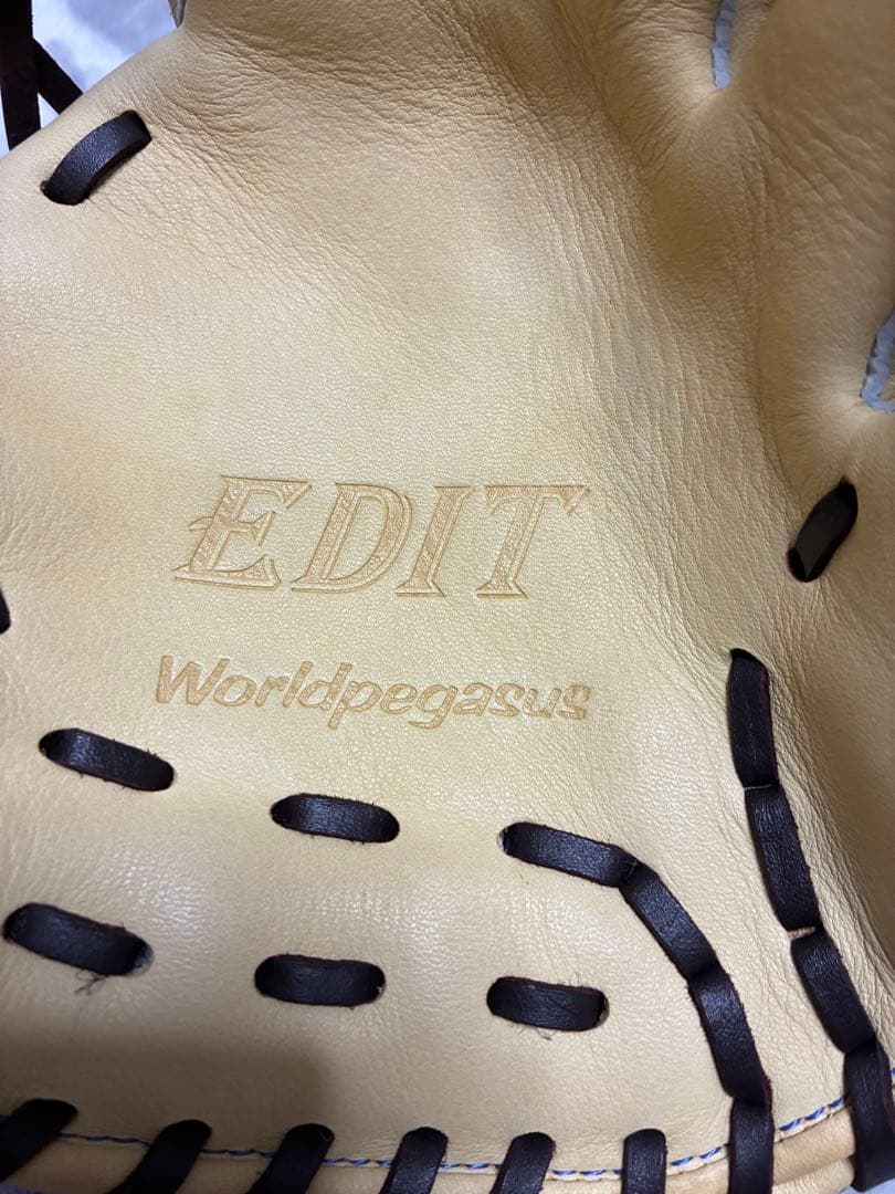 ワールドペガサスEDIT 少年軟式グローブ ソフトボール使用可
