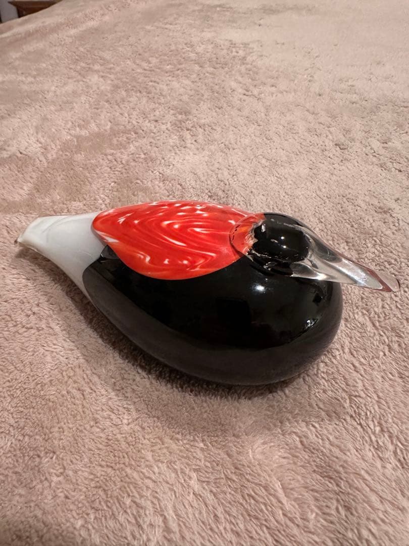 オイバトイッカ　ヌータヤルヴィ　バード