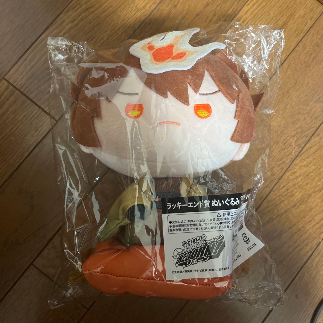 家庭教師ヒットマンREBORN！　ラッキーエンド賞　沢田綱吉　超死ぬ気　冬着物