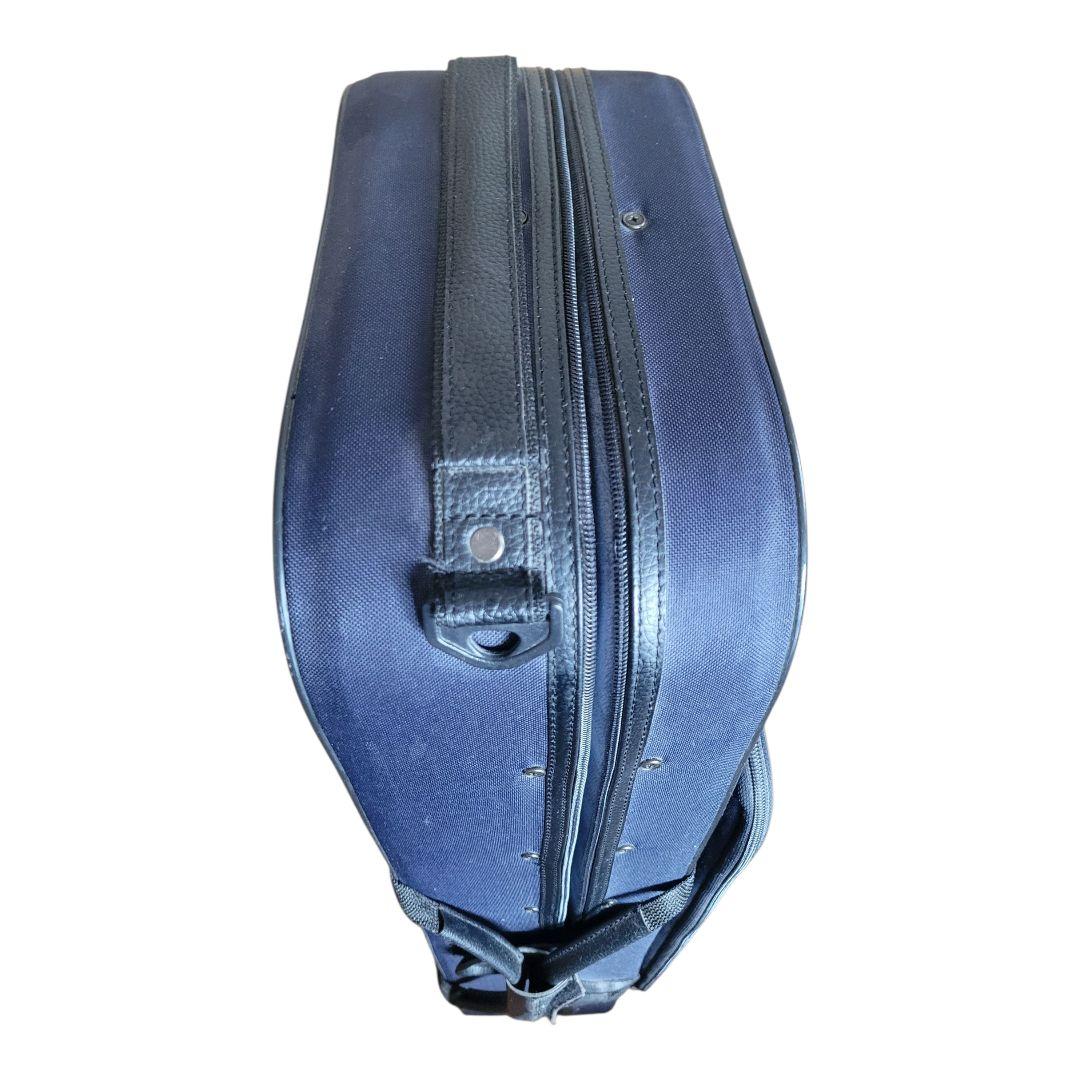 カルロジョルダーノ　ビオラ　ケース付き