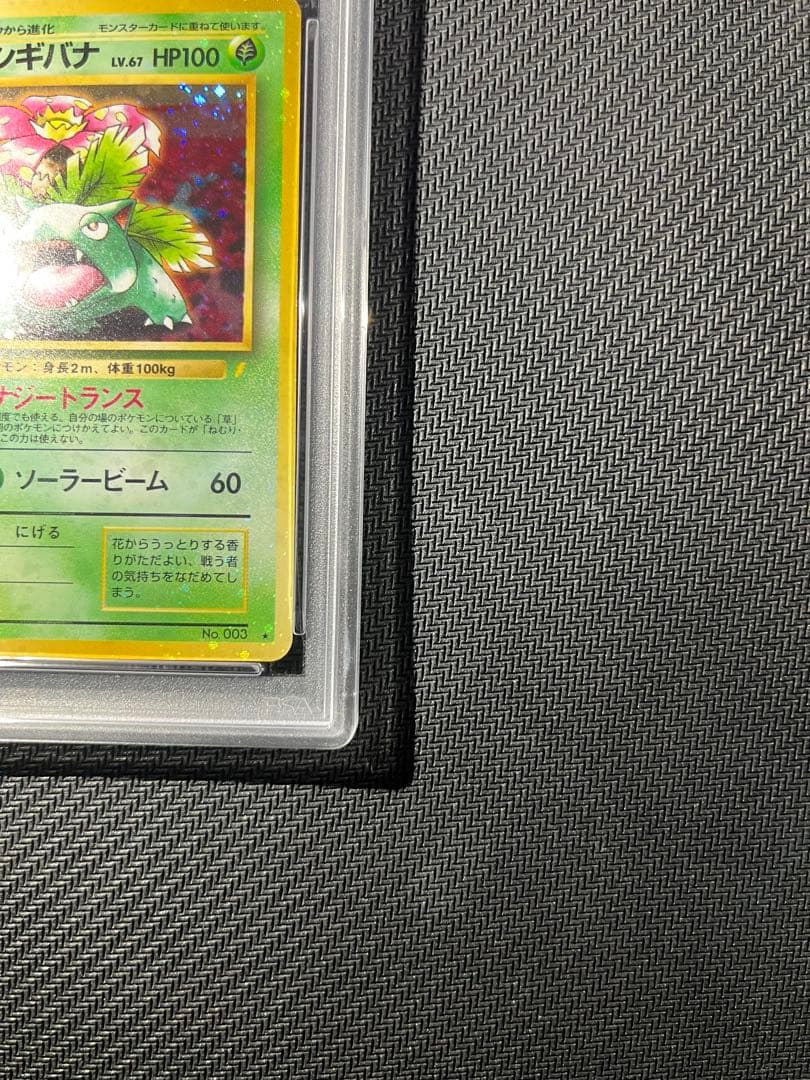 フジギバナ　旧裏　psa10