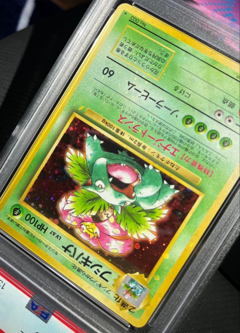 フジギバナ　旧裏　psa10