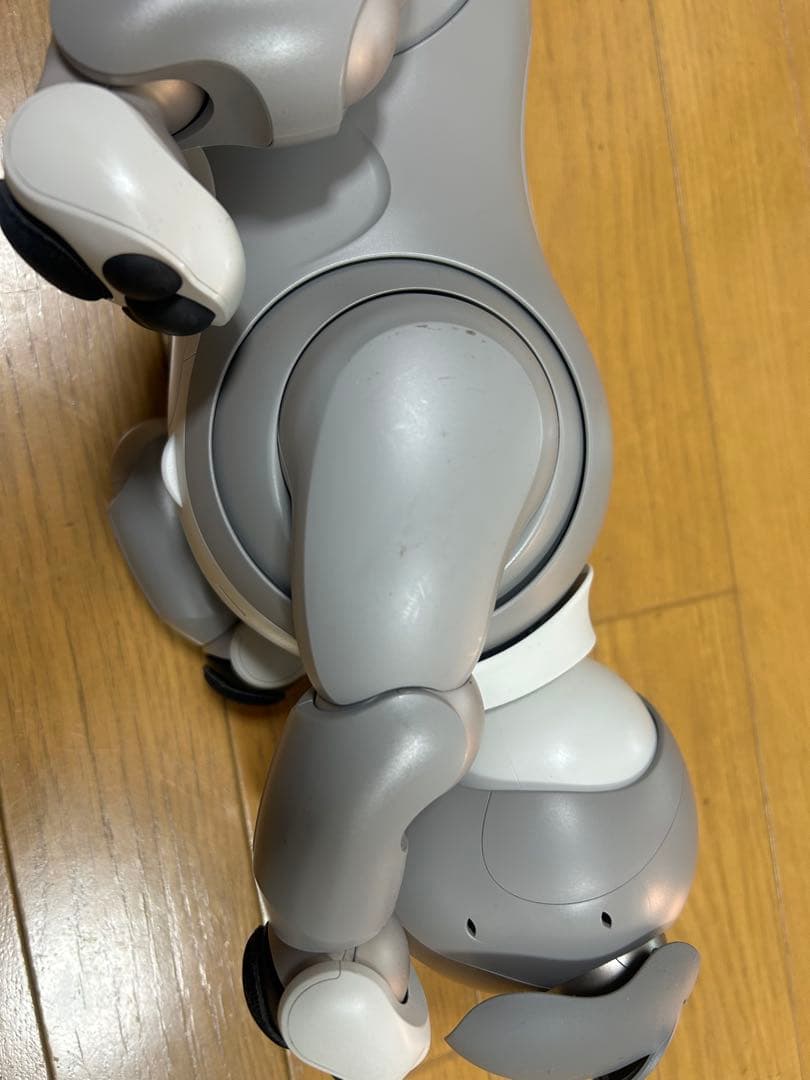 SONY aibo ERS-1000 2021年限定カラー 黒ごま　エディション