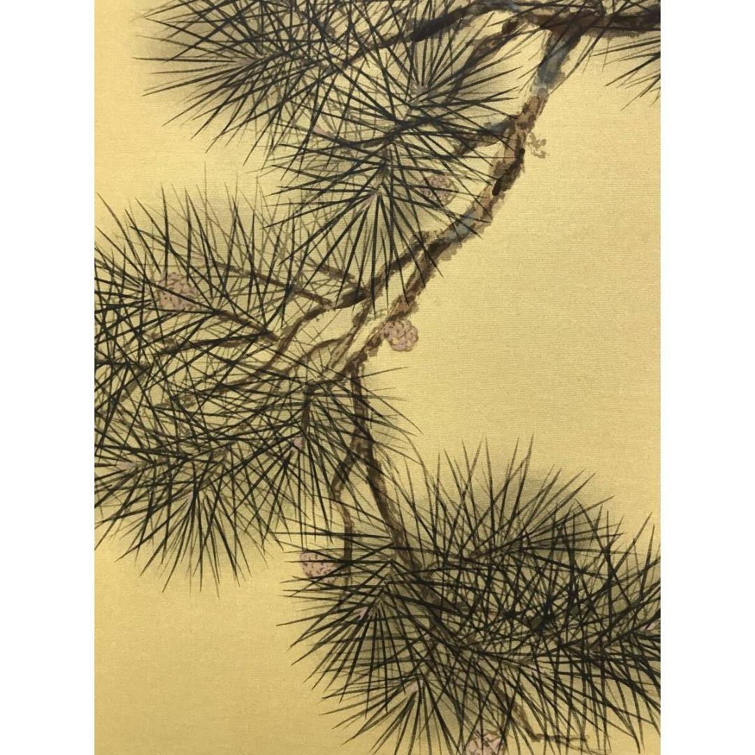 真作/國井幸雪/游鯉図/遊鯉/松鯉/花鳥図/掛軸☆宝船☆AK-630