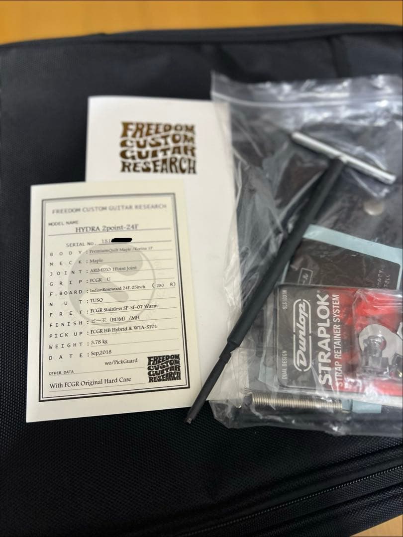 freedomcustomguitarresearchハイドラ